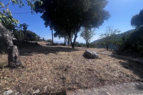 garden with view