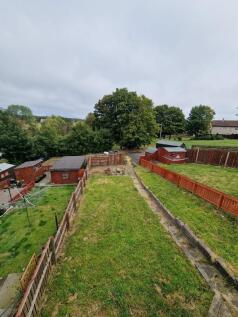 Back Garden