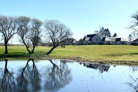 POND