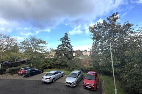 77e1650d-b204-4e2...