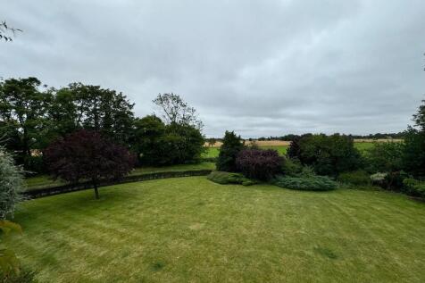 2d6cf1de-6c4e-41a...