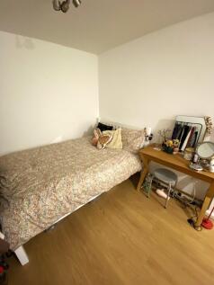 media-17302078479...