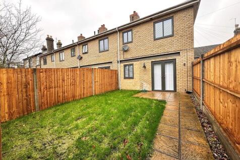 WhatsApp Image 20...