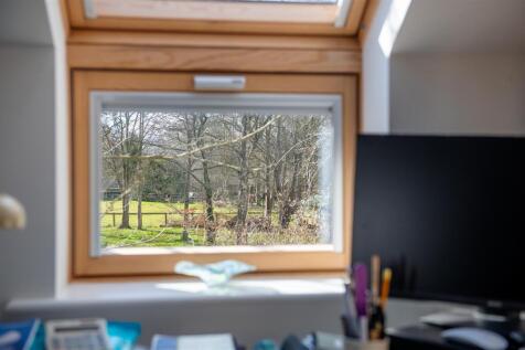 window.jpg