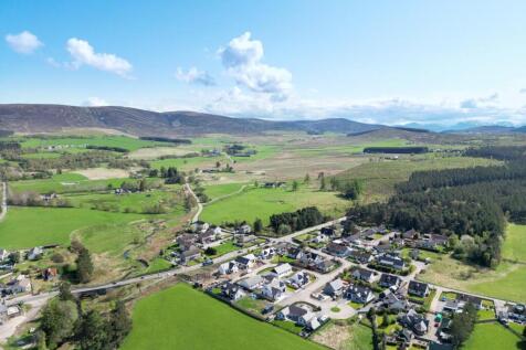DJI_0467.jpg