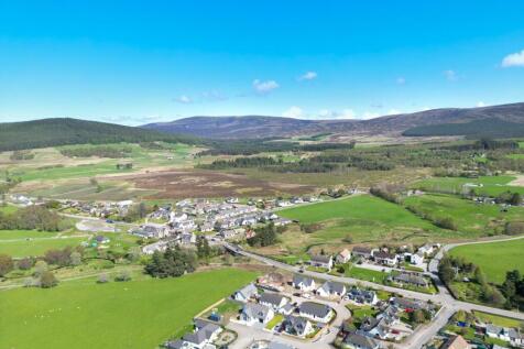 DJI_0468.jpg