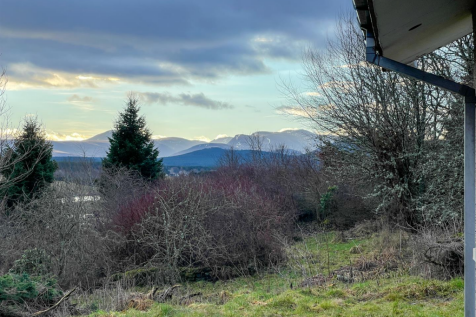 View From Patio