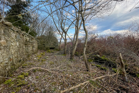 Historic Steading Ruins