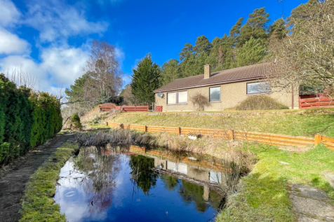 Front Garden &amp; Pond