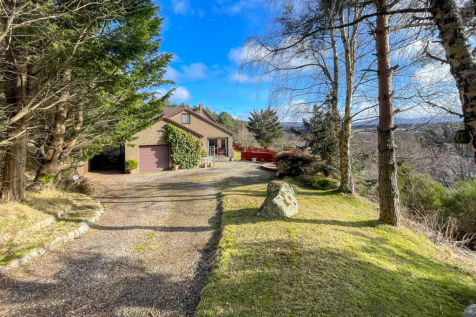 Driveway &amp; Parking