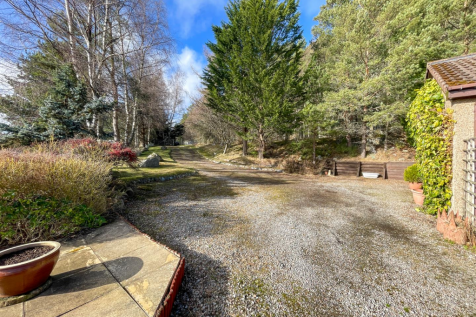 Driveway &amp; Parking
