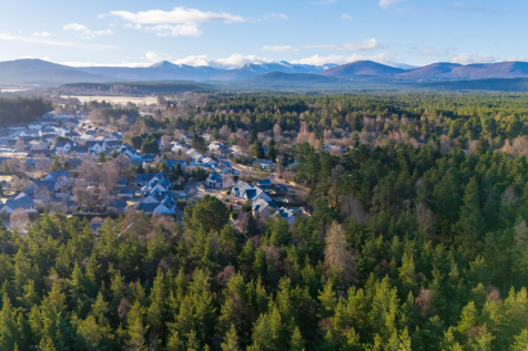 mountain view-1.png