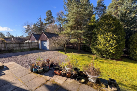 rear garden-1.png