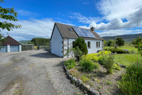 Driveway &amp; Parking