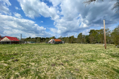 Ground Level View