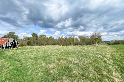 Ground Level View
