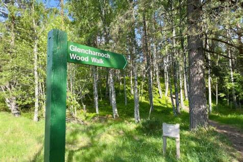 Woodland Walks
