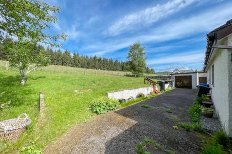 Rear Driveway &amp; Garden