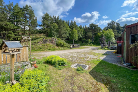 Driveway &amp; Parking