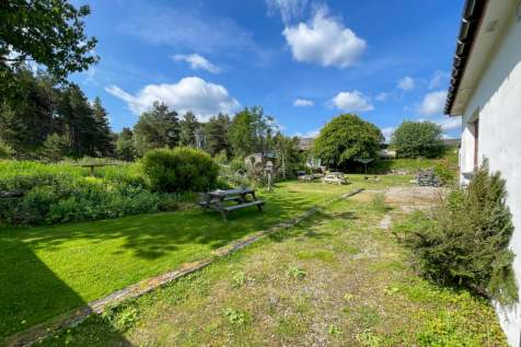 Side Garden