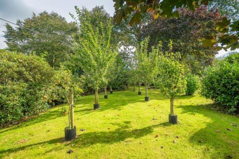 Orchard