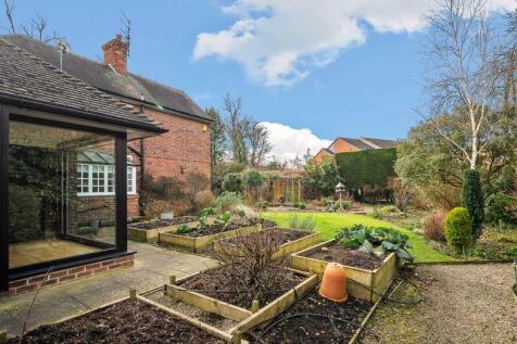Vegetable garden
