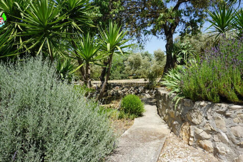 Property Image 51