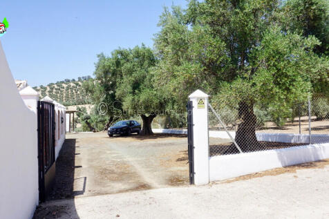 Property Image 57