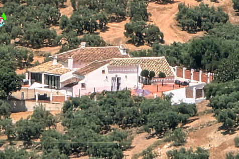 Property Image 60