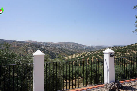 Property Image 61