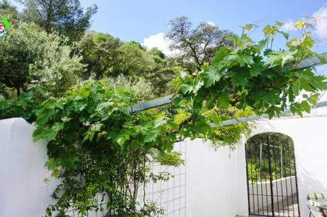 Property Image 50