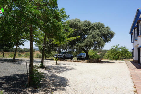 Property Image 43