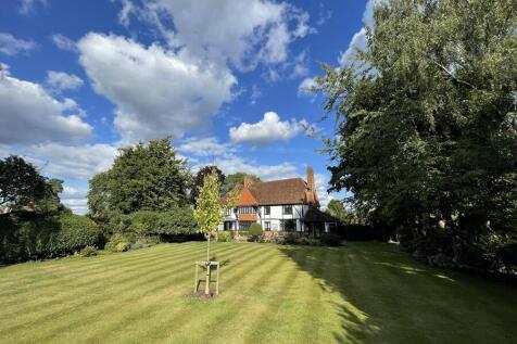 Back garden