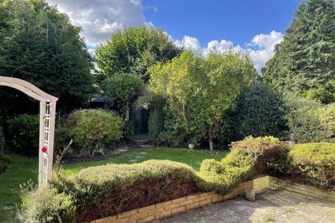 Back garden