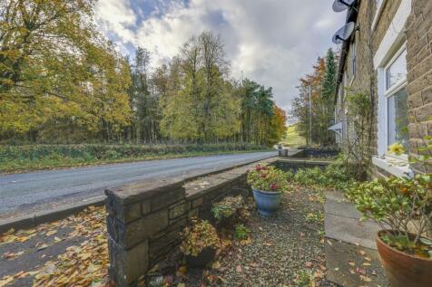 Front Forecourt
