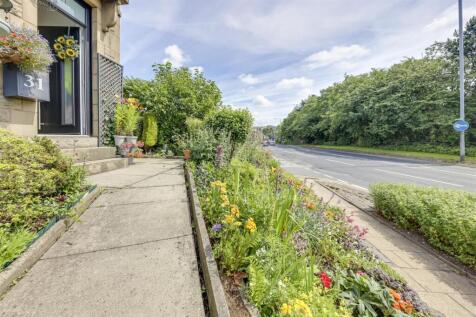 Front Garden Alt