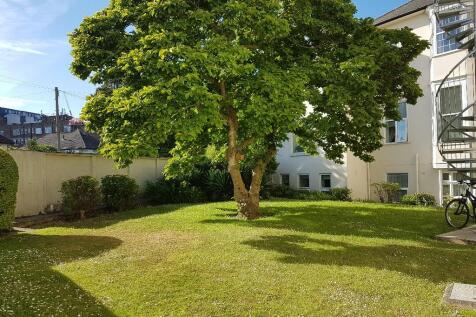 Rear Gardens