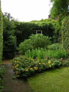 Photo 09