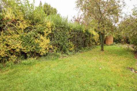 Photo 07