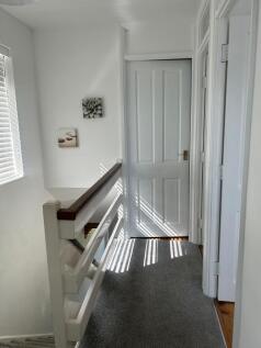 Photo 08