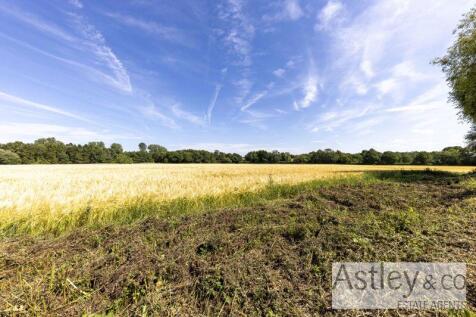 field view