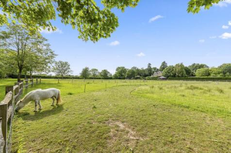 Property Image 55