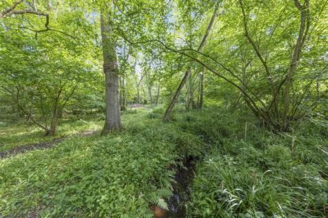 Property Image 57