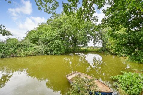 Pond