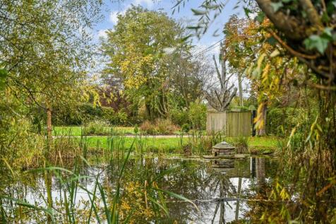 Duck Pond