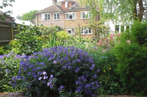 Summer Garden