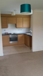 kitchen/lounge