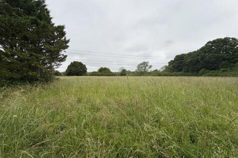 Photo 48