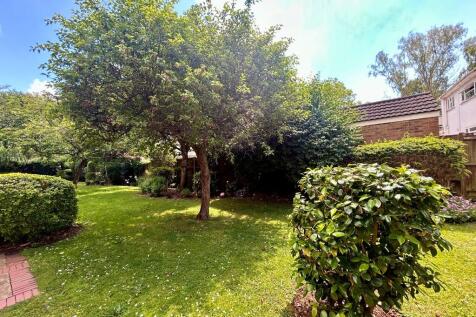 Communal garden 2