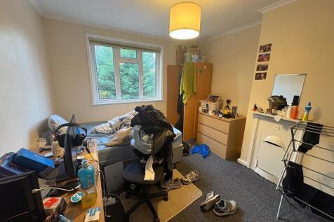 PHOTO-2025-11-13-...